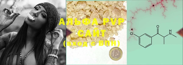 тгк Касимов