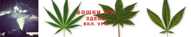 гидра Карталы