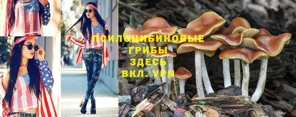 тгк Касимов
