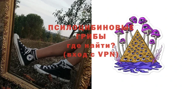 тгк Касимов
