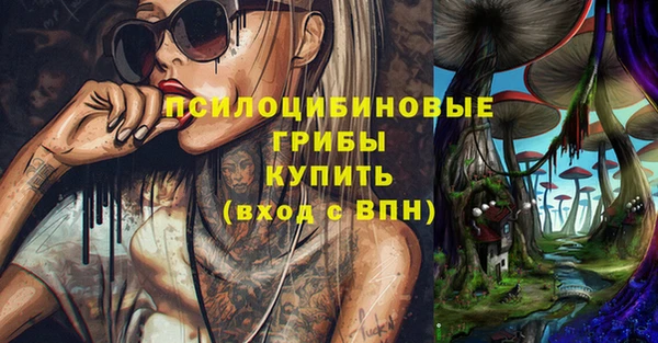 соль ск Карпинск