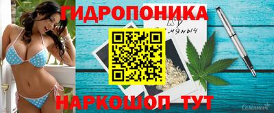 спиды Камышлов