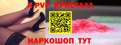 спиды Камышлов