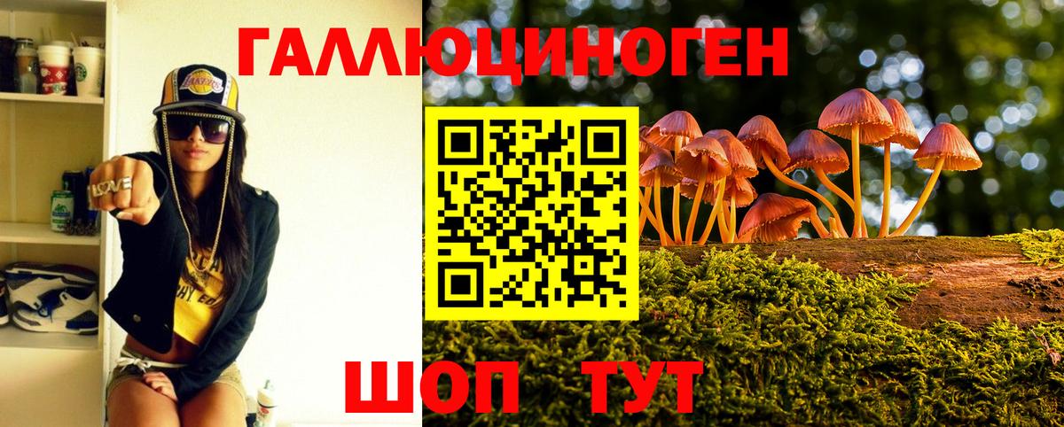 Псилоцибиновые грибы MAGIC MUSHROOMS Кострома