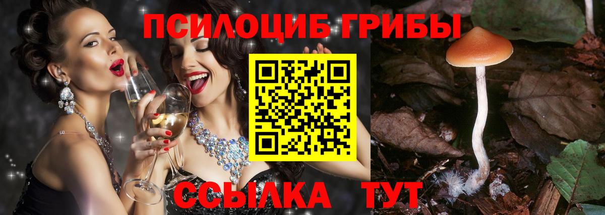 Псилоцибиновые грибы прущие грибы  Вход с VPN  Кострома 